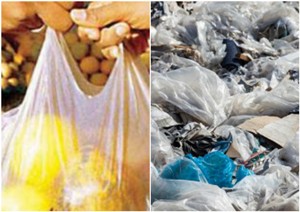 West Bengal Off The Blocks In Banning Single-Use Plastic From October 2