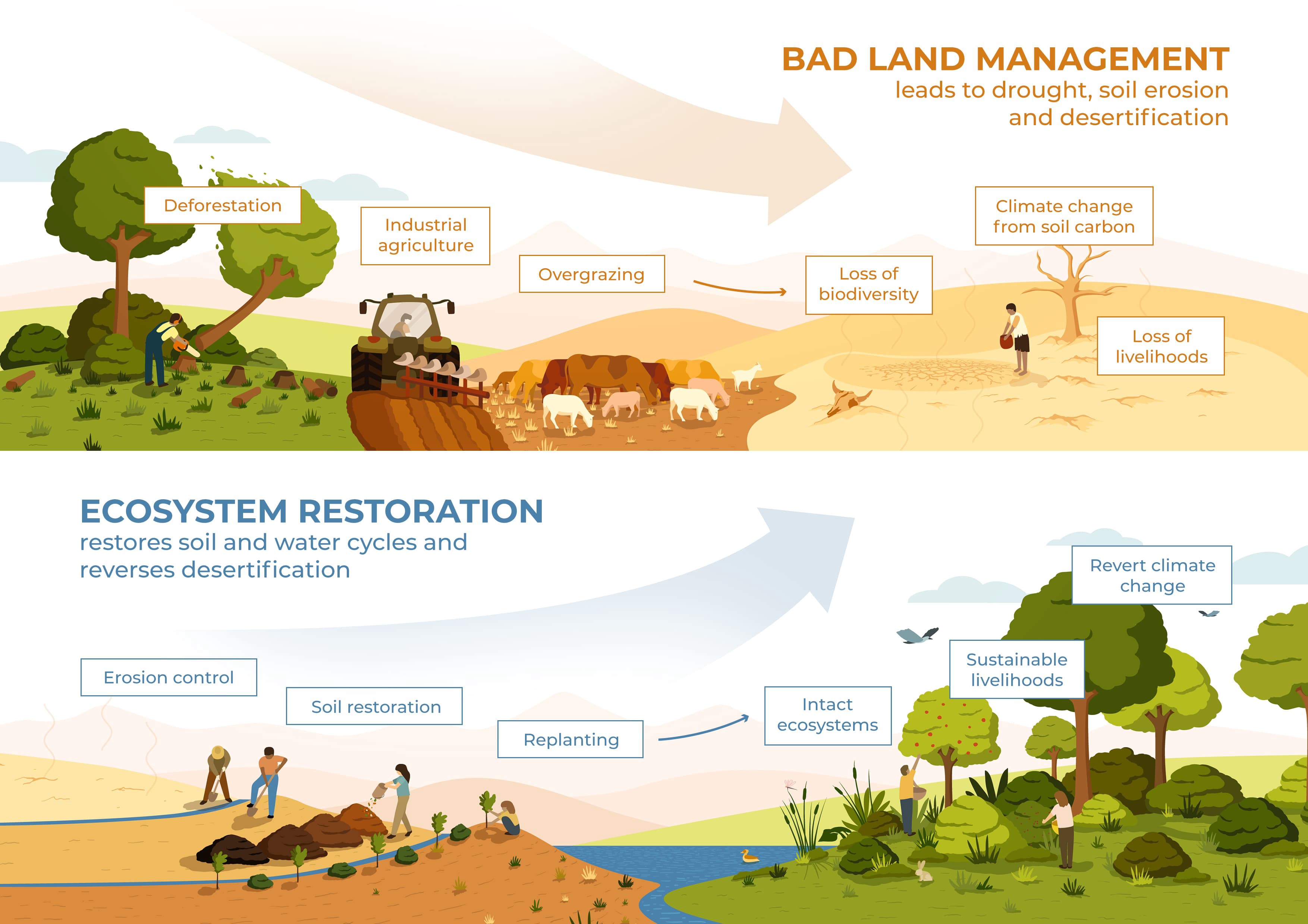 The Importance Of Ecosystem Restoration