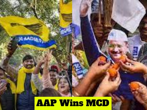 AAP Gains Control Of MCD But It Is Not A Landslide Win