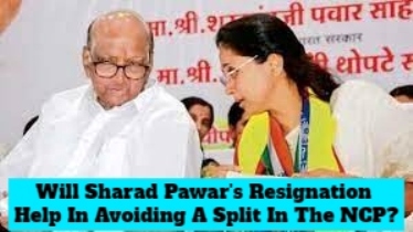 Sharad Pawar's Resignation Is Timed To Perfection