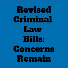 Criminal Law Bills Must Not Be Passed In Haste