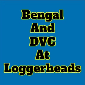 Bengal: Cutting Off Ties With DVC Is Not Right